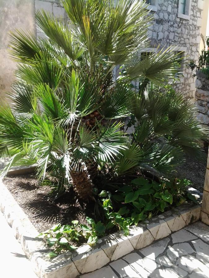 Sućuraj Apartments Vini And Ivana מראה חיצוני תמונה